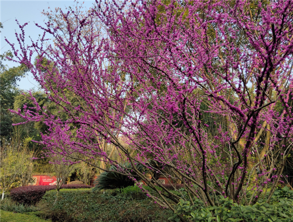 QQ截图20200312153657.png