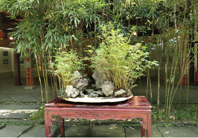 QQ截图20050101062257.png