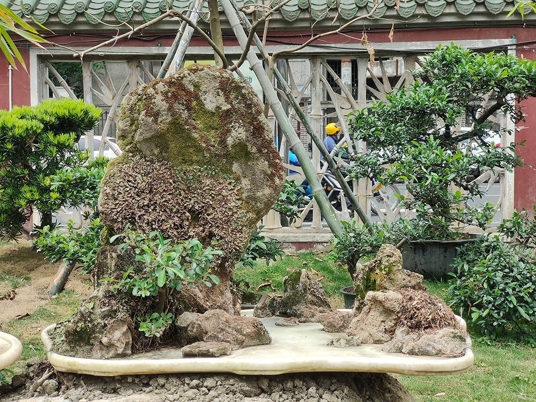 唐物 太湖石 自然体観賞石 水石盆石 飾石 盆景 盆栽 茶室飾 美しい姿 唐物 太湖石 自然体観賞石 水石盆石 飾石 盆景 盆栽 茶室飾
